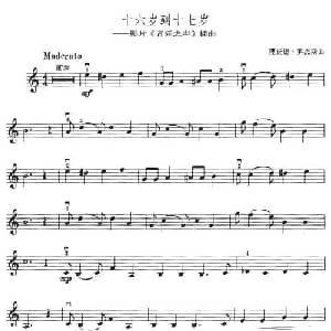 小提琴谱 | 十六岁到十七岁 电影 音乐之声 插曲 理查德 罗杰斯