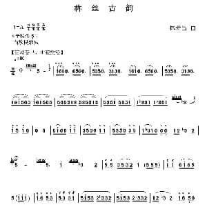 葫芦丝谱 | 犇丝古韵 林荣昌