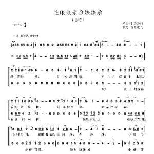 毛眼眼亲尕妹妹尕_歌曲简谱_词曲:柏泉 方芳