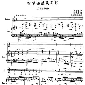 有梦的感觉真好_美声唱法乐谱_词曲:吴善翎 潘兆和曲 李延忠配伴奏