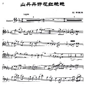 山丹丹开花红艳艳 大管 刘奇编曲