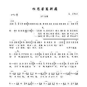 相思苦离别痛_歌曲简谱_词曲:王浩 王浩