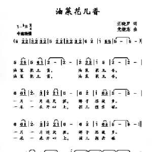 油菜花儿香_儿歌乐谱_词曲:汪小罗 党继志