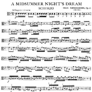 A MIDSUMMER NIGHT'S DREAM 中提琴