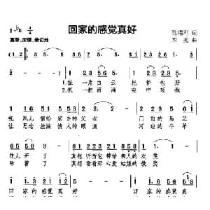 回家的感觉真好_通俗唱法乐谱_词曲:陈福利 华秀