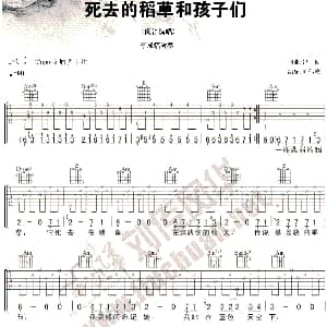 死去的稻草和孩子们 吉他谱 闵笛 冯硕 冯硕