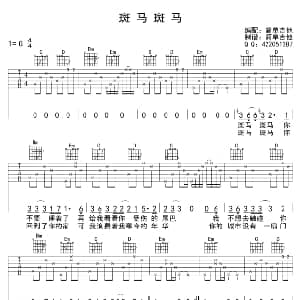 斑马斑马 吉他谱 宋冬野