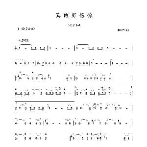 真的好想你_歌谱投稿_词曲: 李汉颖