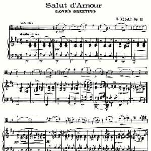 Salut d'amour 爱的礼赞 大提琴 钢琴 艾尔加