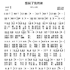 想起了我的她_通俗唱法乐谱_词曲:君若云 孙向岭