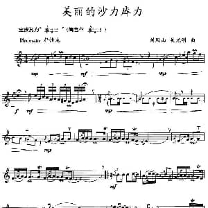 美丽的沙力库力 竖笛