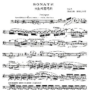 SONATNS 大提琴奏鸣曲 大提琴独奏