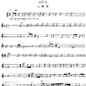 Ⅵ 乌扎勒木卡姆 309 317 主旋律谱 十二木卡姆