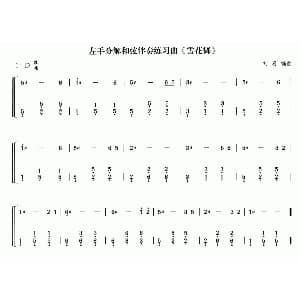 古筝谱 | 雪花舞 刘喜编曲