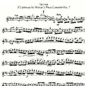 长笛曲谱 | 3 Cadenzas for Mozart's flute Concerto No.2