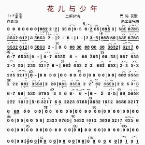 花儿与少年_歌曲简谱_词曲: 高金全编曲