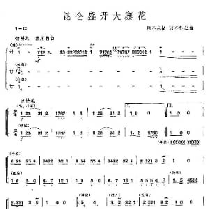昆仑盛开大寨花 器乐合奏