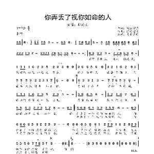 你弄丢了视你如命的人_歌曲简谱_词曲:轻云望月 轻云望月