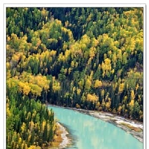 夜朦胧_通俗唱法乐谱_词曲:秋趣朦胧 张炳勋