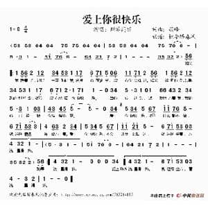 爱上你很快乐_歌谱投稿_词曲:顾峰 顾峰