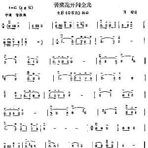 二胡谱 | 苦菜花开闪金光