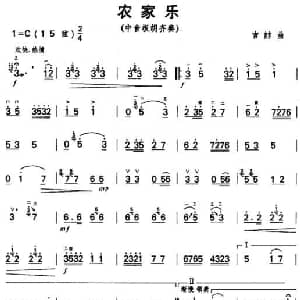 农家乐 中音板胡齐奏 吉喆
