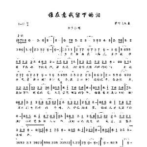谁在意我流下的泪_歌曲简谱_词曲:蒋雪儿 蒋雪儿