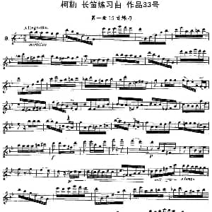 长笛曲谱 | 柯勒长笛练习曲作品33号 第一册 9 埃内斯托 柯勒 ERNESTO KOEHLER