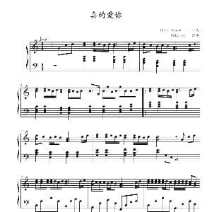 真的爱你 钢琴谱 黄家驹