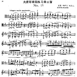 大提琴高级练习曲40首 No.13 戴维 波帕尔