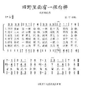 田野里面有一棵白桦_歌谱投稿