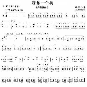 葫芦丝谱 | 我是一个兵 欣平改编版 岳伦作曲 欣平改编