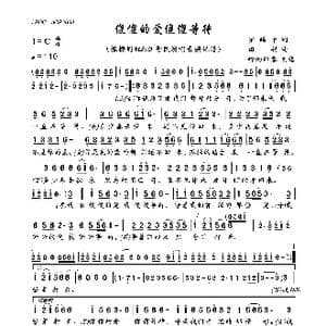 傻傻的爱傻傻等待_歌曲简谱_词曲:罗皓予 田娟