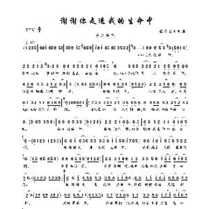 谢谢你走进我的生命中_歌曲简谱_词曲:轻云望月 轻云望月