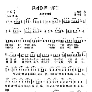 只对你挥一挥手_通俗唱法乐谱_词曲:王慧敏 陈涤非