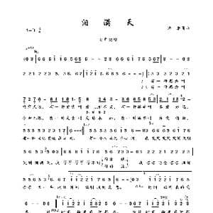 泪满天_歌曲简谱_词曲:潘攀 潘攀
