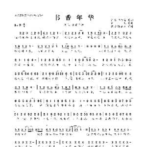 ​书香年华_歌曲简谱_词曲:许嵩 车万育 许嵩