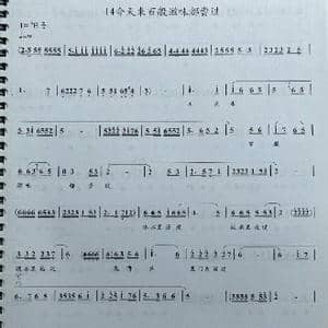 豫剧红高粱选段几天来百般滋味都尝过_歌谱投稿_词曲: 赵国安