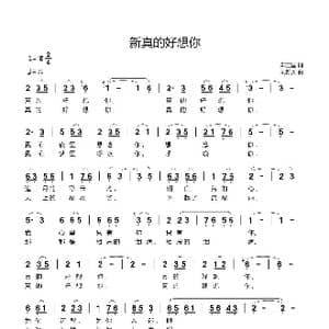 新真的好想你_歌曲简谱_词曲:郑卫国 刘新太