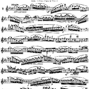 长笛曲谱 | 柯勒30首高级长笛练习曲作品75号 NO.7 Kohler 柯勒