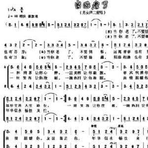 当你老了_民歌简谱_词曲:张公文 王贵龙 高婷
