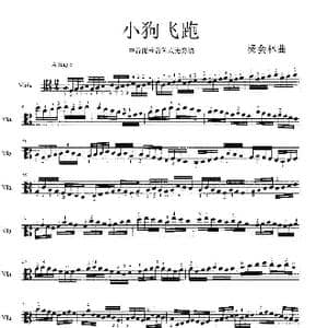 小狗飞跑_歌曲简谱_词曲: 杨会林作曲