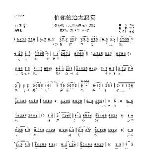 怕你旅途太寂寞_歌曲简谱_词曲:林青 精耕