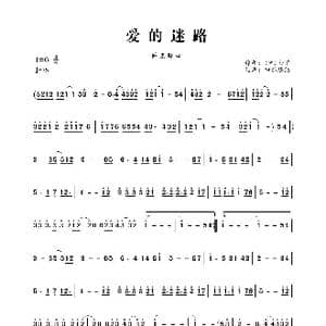 爱的迷路_歌曲简谱_词曲: 韩 金甲