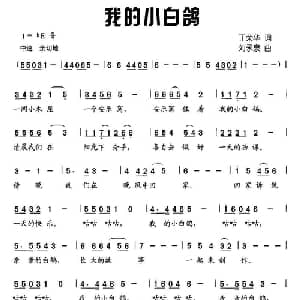 我的小白鸽_儿歌乐谱_词曲:丁荣华 刘永泉