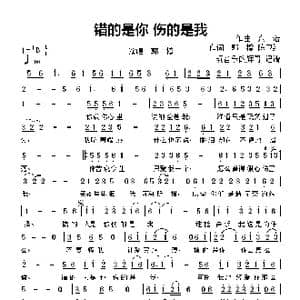 错的是你 伤的是我_歌谱投稿_词曲:郭一橙,陈卫红 陈浩