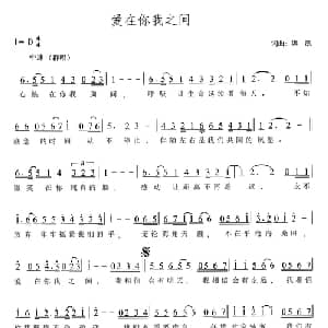 爱在你我之间_通俗唱法乐谱_词曲:洪凯 洪凯