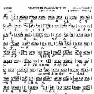 节振国 你与我做夫妻已有十载_歌曲简谱_词曲:暂无 恒流星制谱
