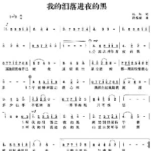 我的泪落进夜的黑_通俗唱法乐谱_词曲:林红 薛东福