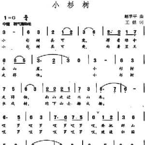小杉树_民歌简谱_词曲:王健 赵季平